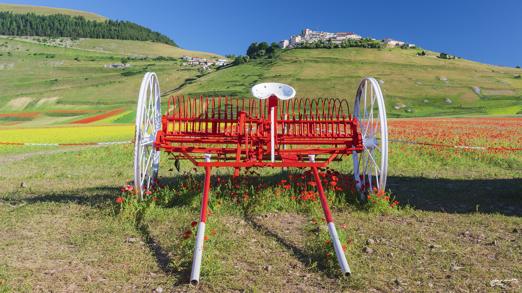 Ranghinatore.. nei colori della piana di Castelluccio.