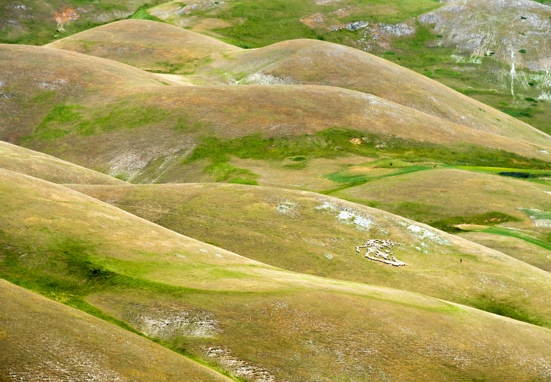 Castelluccio minimal