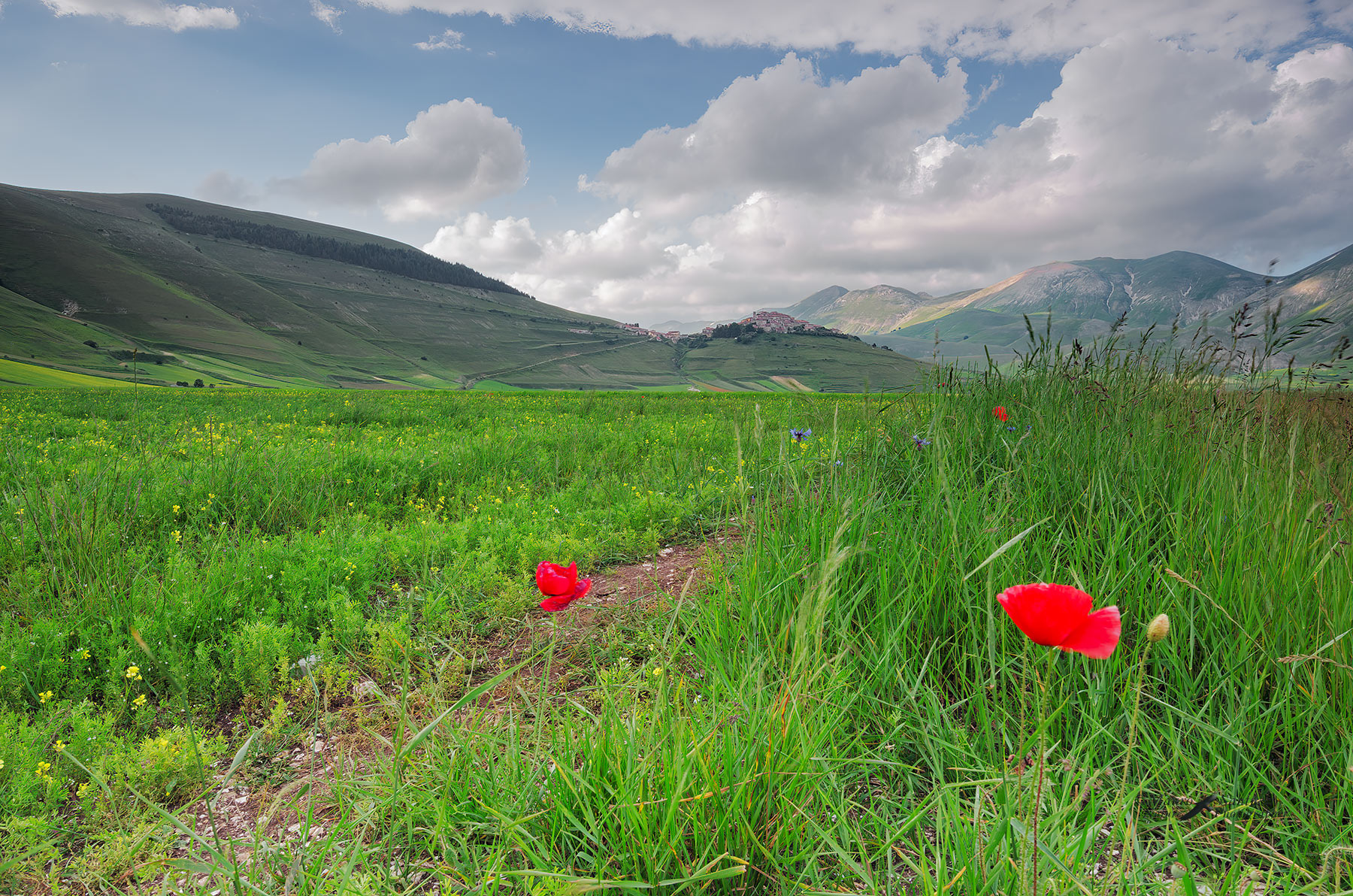 Castelluccio-2014_DSC3303