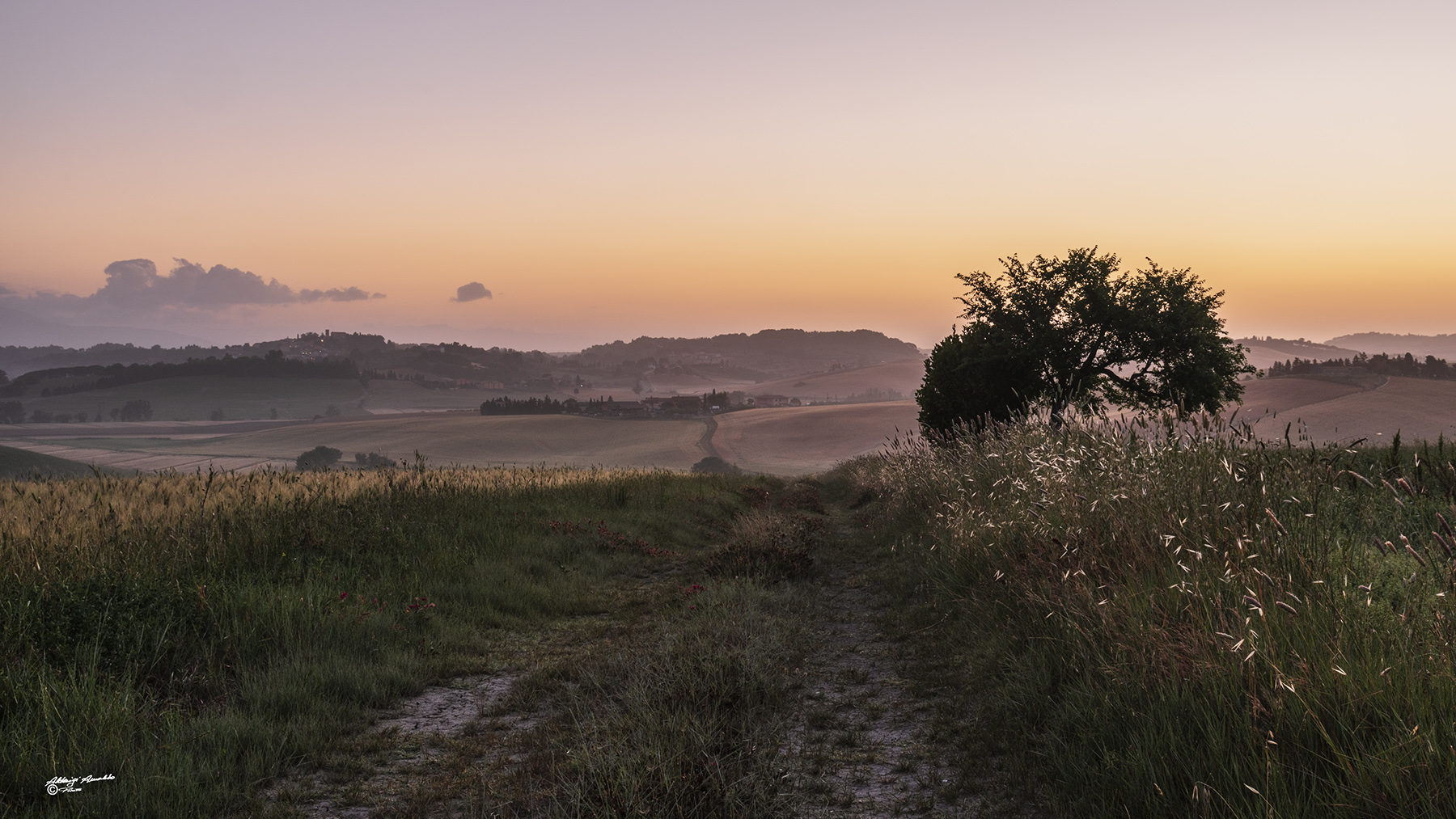 I primi colori dell'alba..