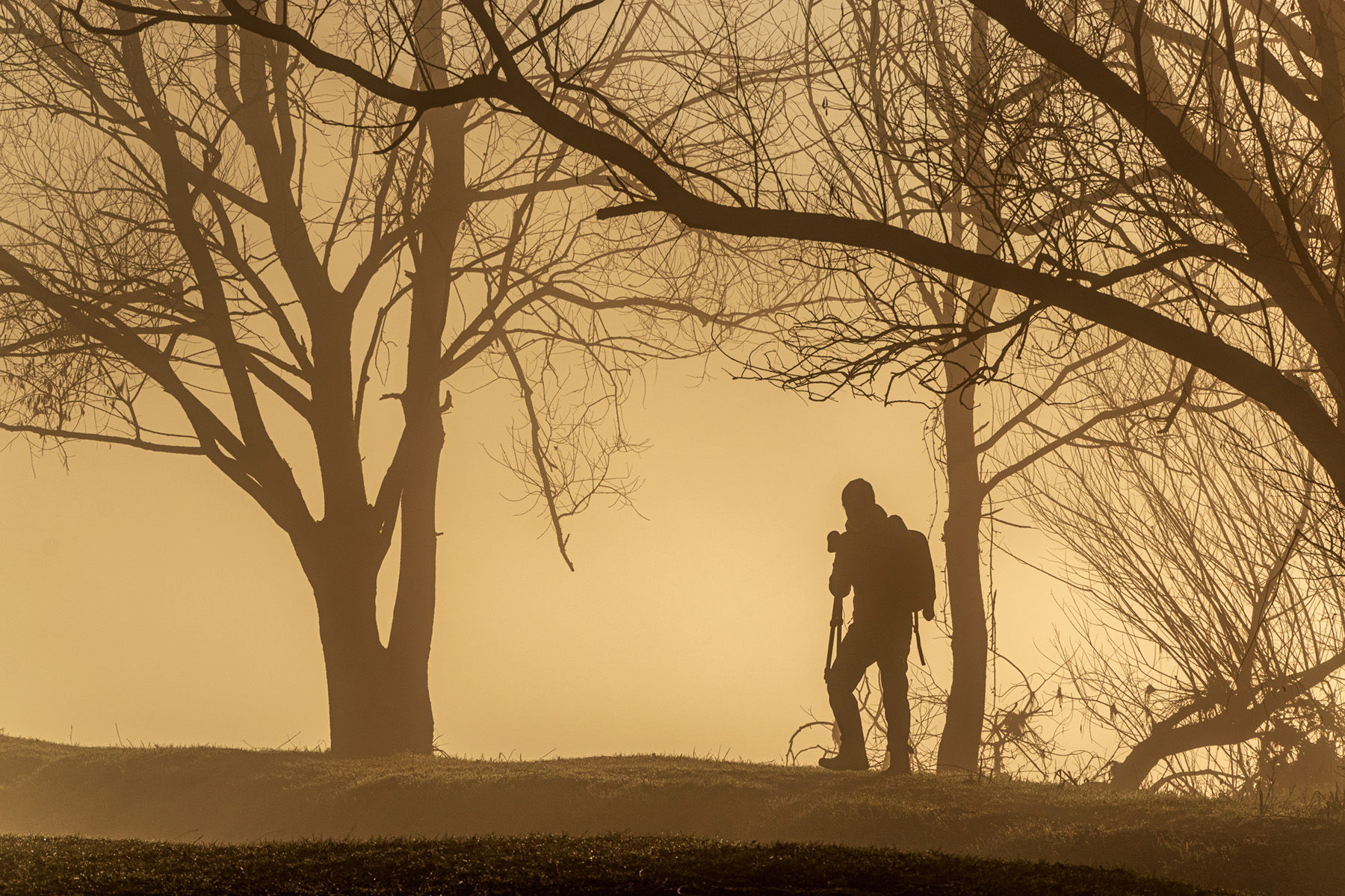 a caccia di immagini 2