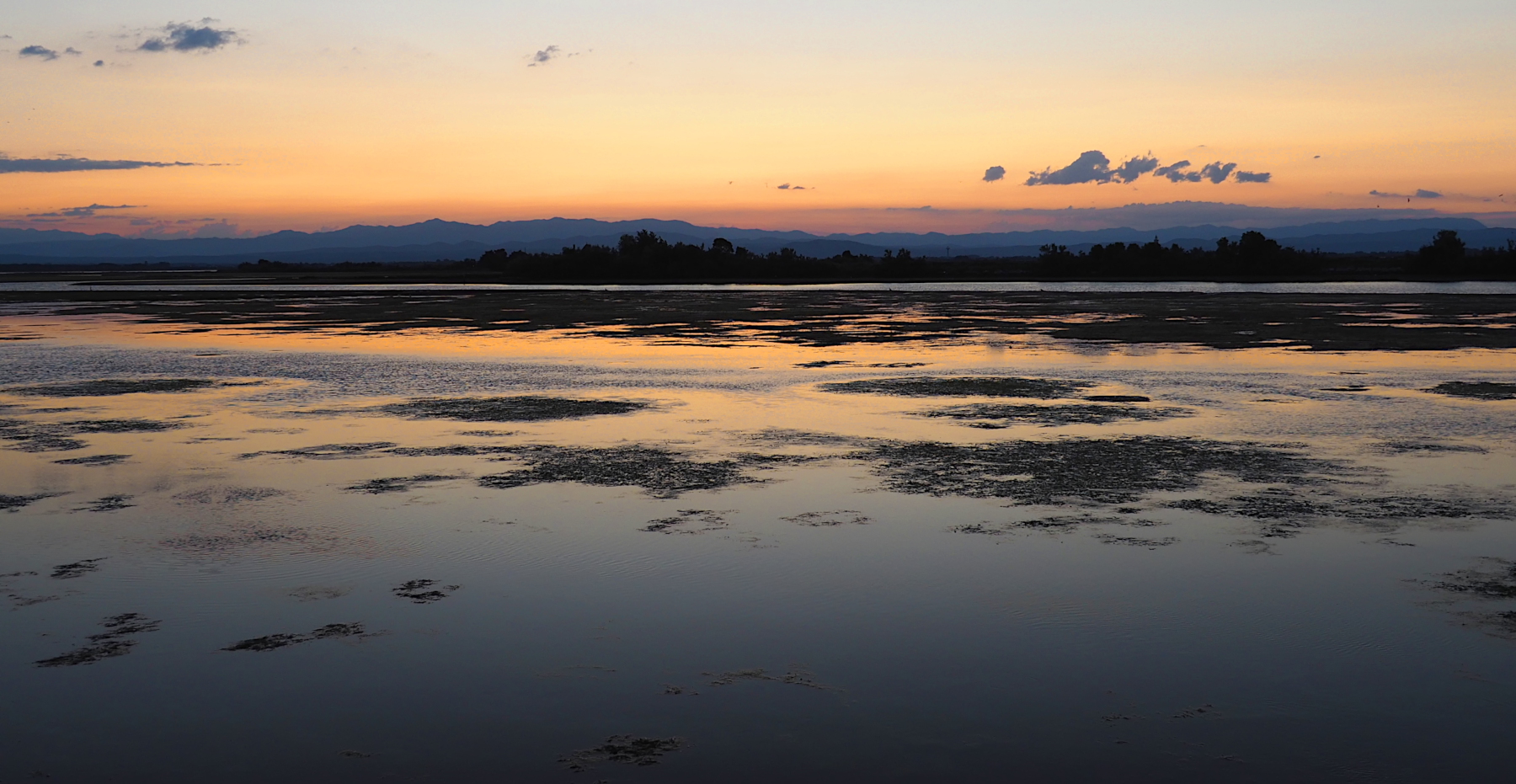 Alba sulla Laguna di Grado