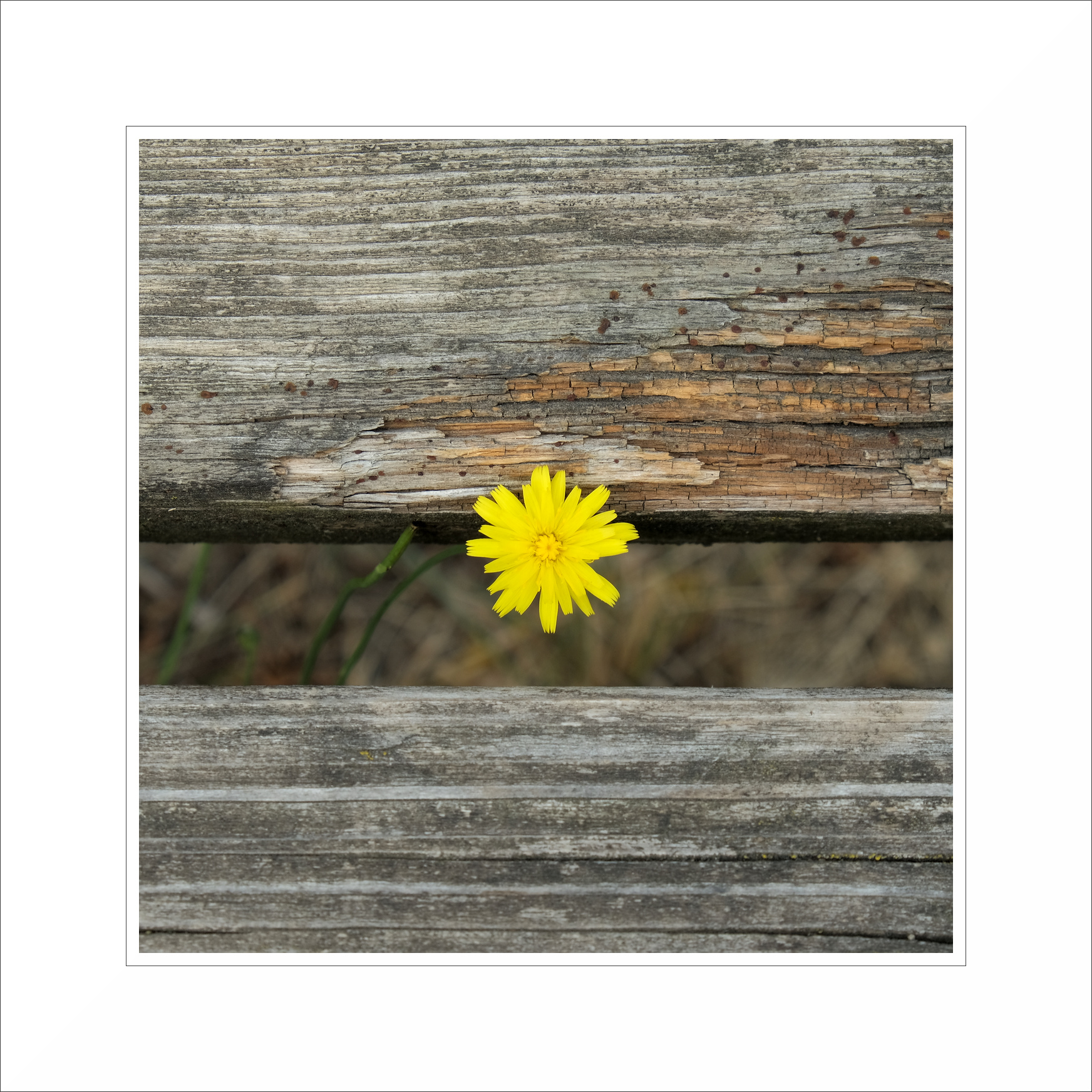 PRU (Piccoli Racconti Urbani)