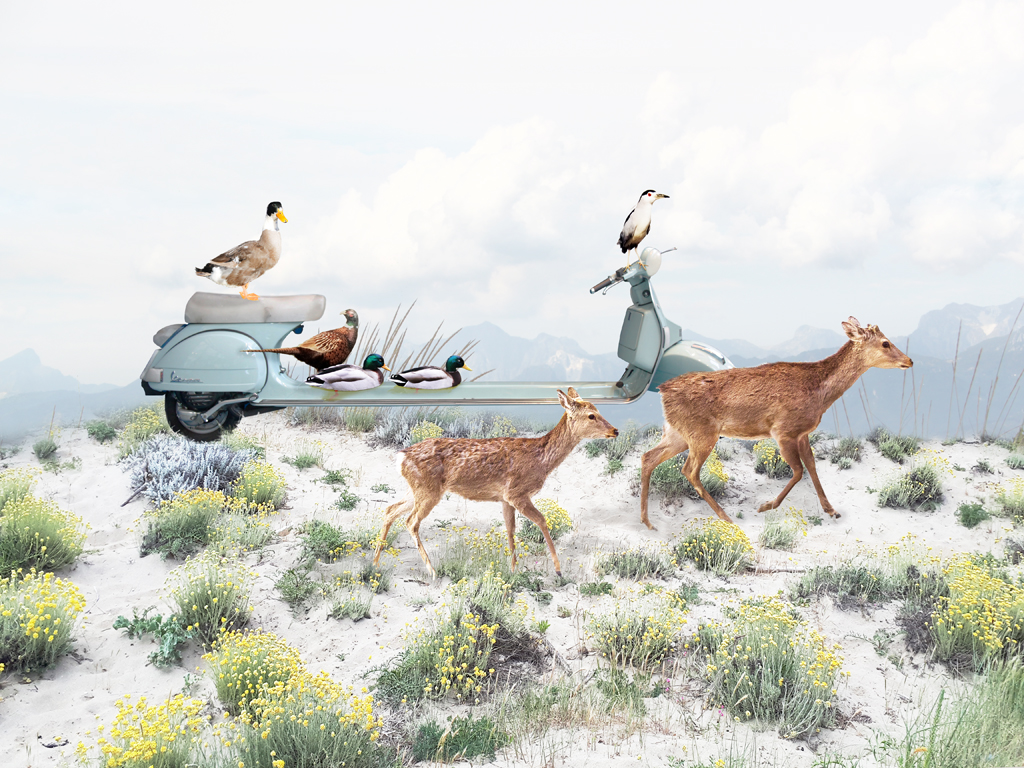 CICLOLANDIA 2.....il viaggio continua