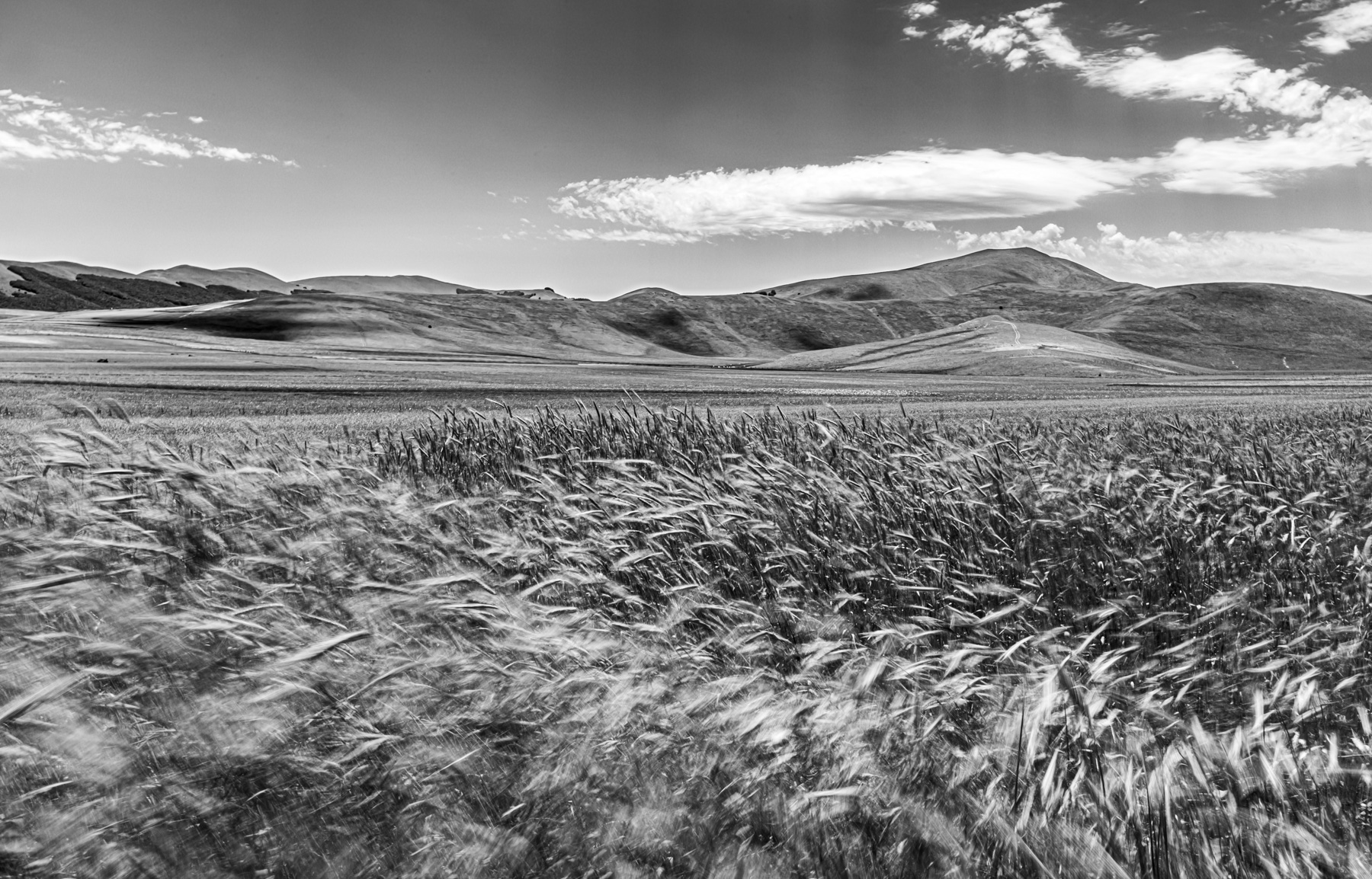 Castelluccio BN