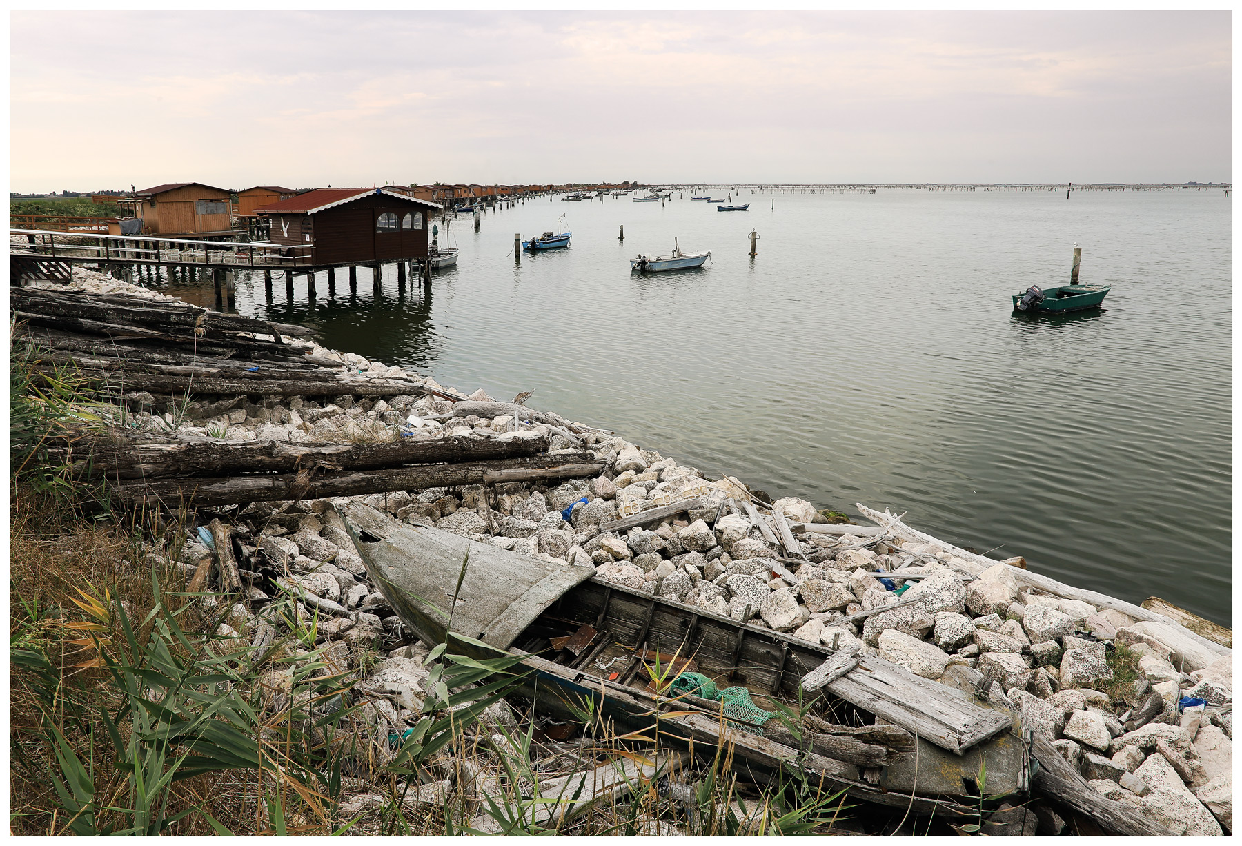 Sacca degli Scardovari