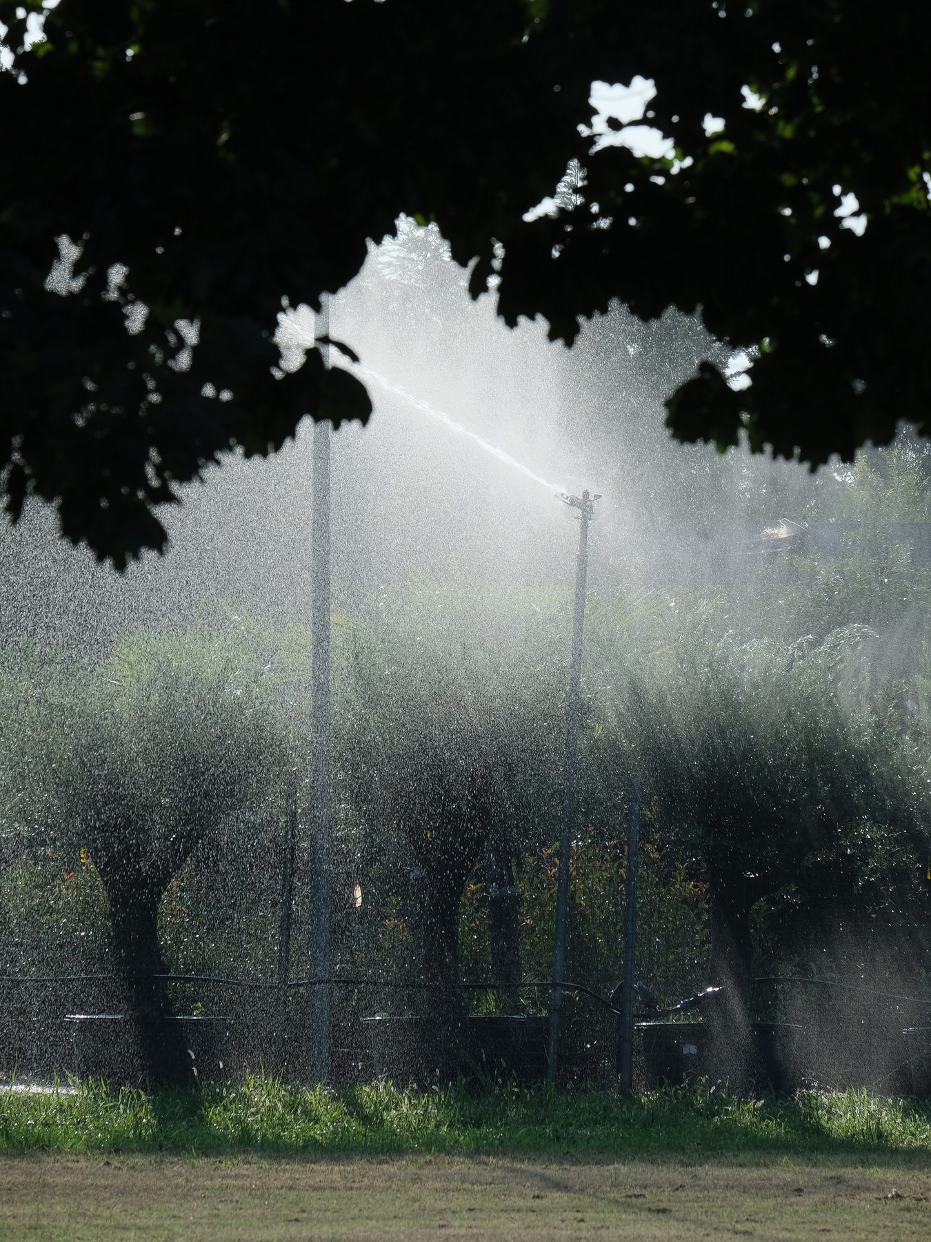 PRU (Piccoli Racconti Urbani)