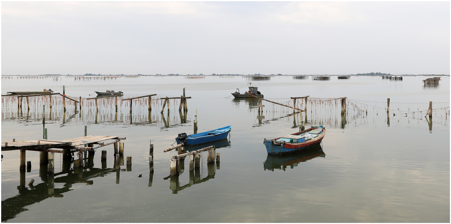 Sacca degli Scardovari