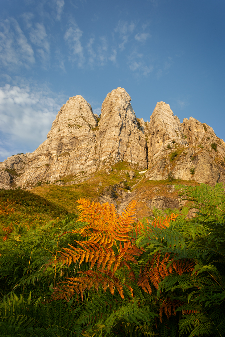 "A million little pieces"