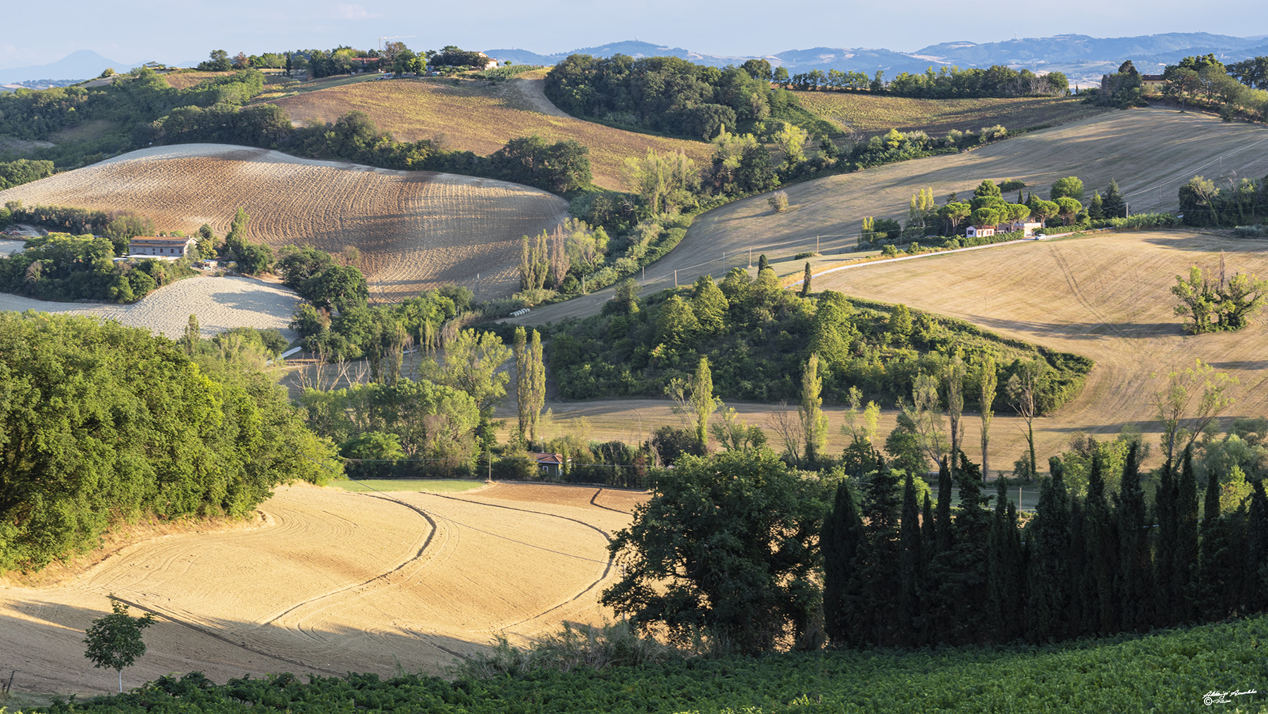 Un pomeir�ggio nelle Colline delle Marche..