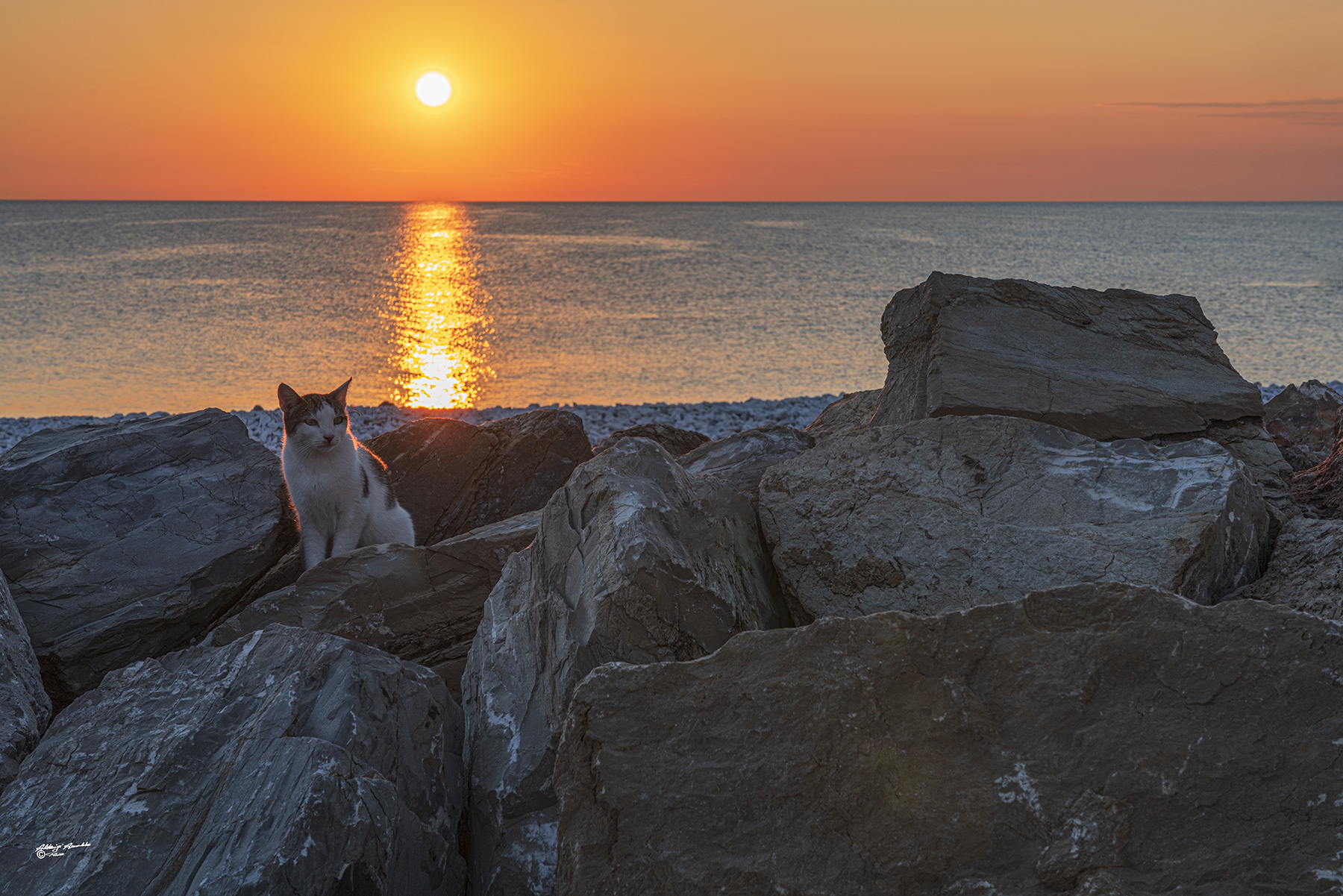 Ultimi raggi di sole..