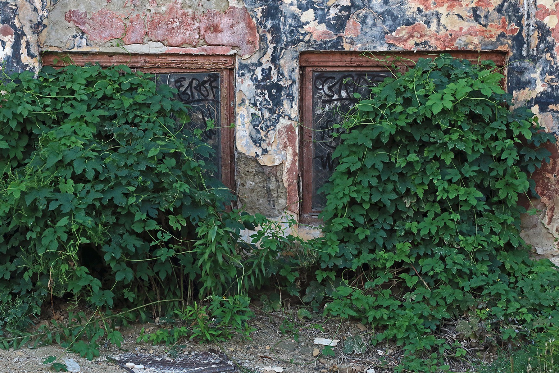 la rivincita del verde