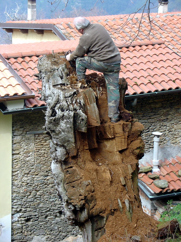 la noia del pensionato