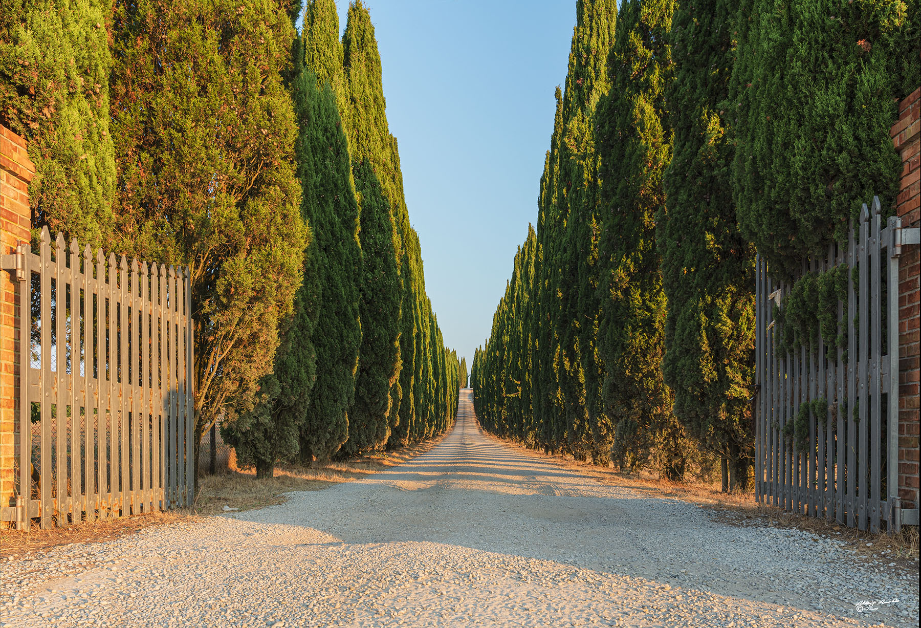 Il viale cipressato..