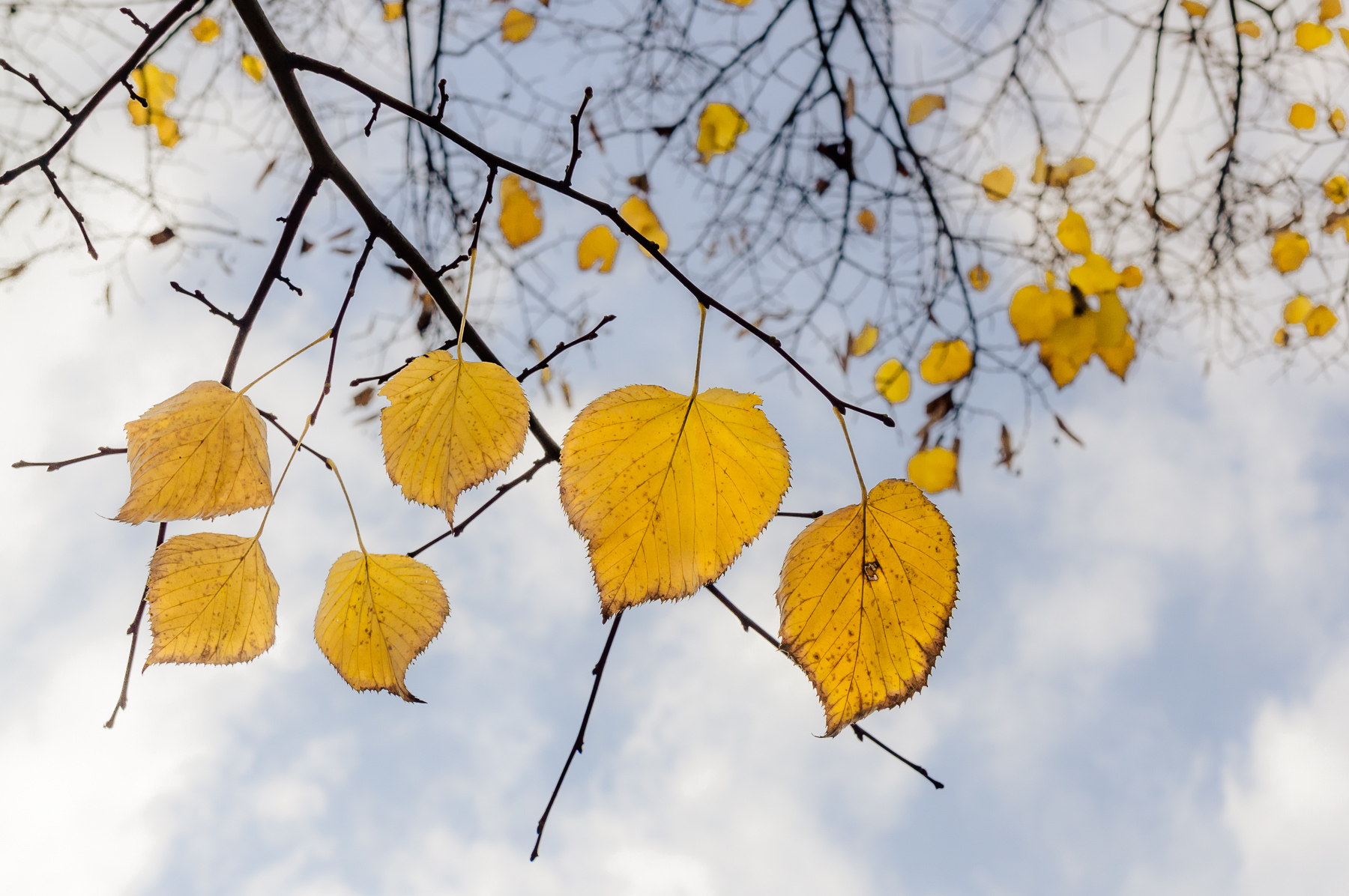 Critica al buio - Foto 090