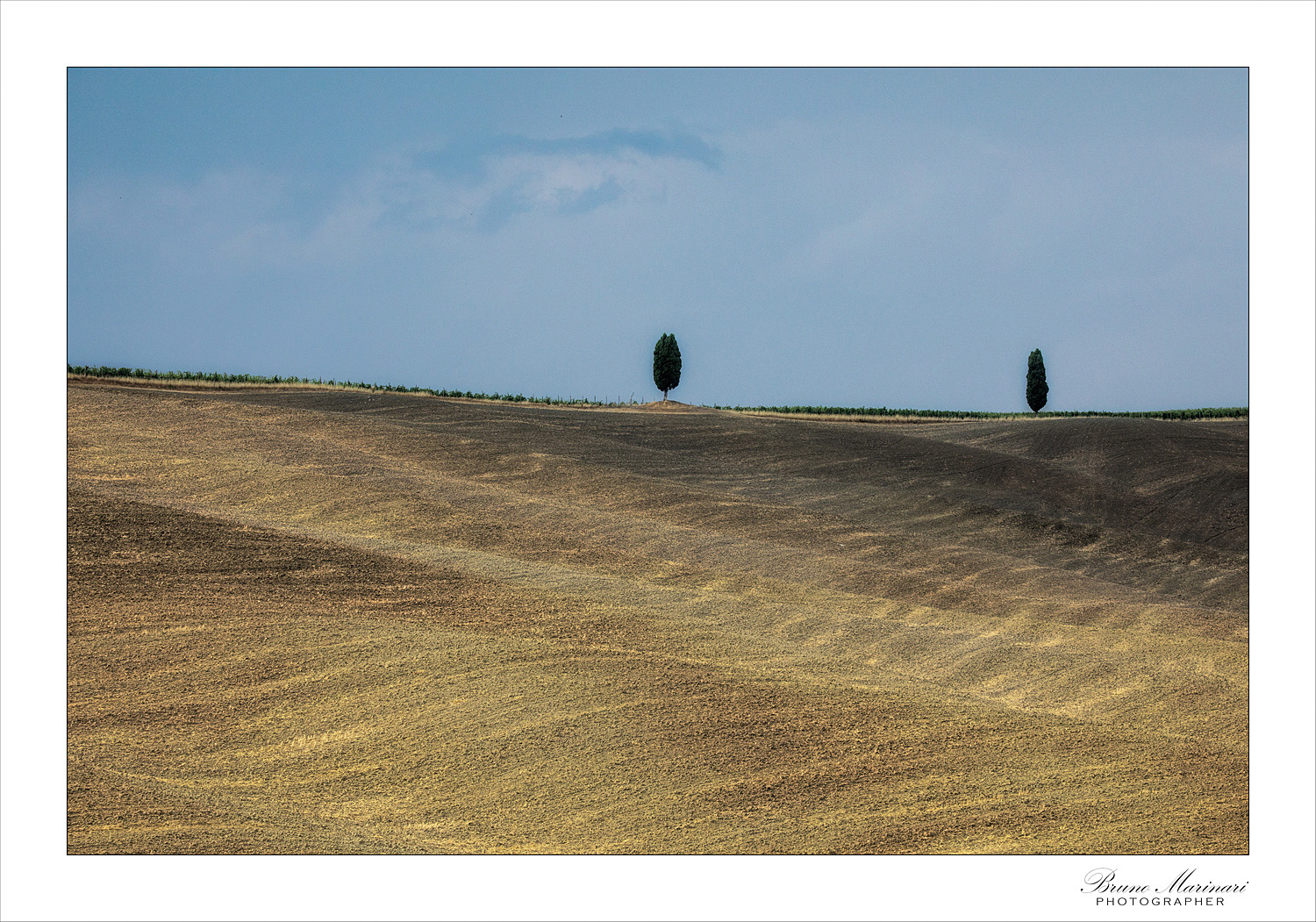 Gemelli sulle colline