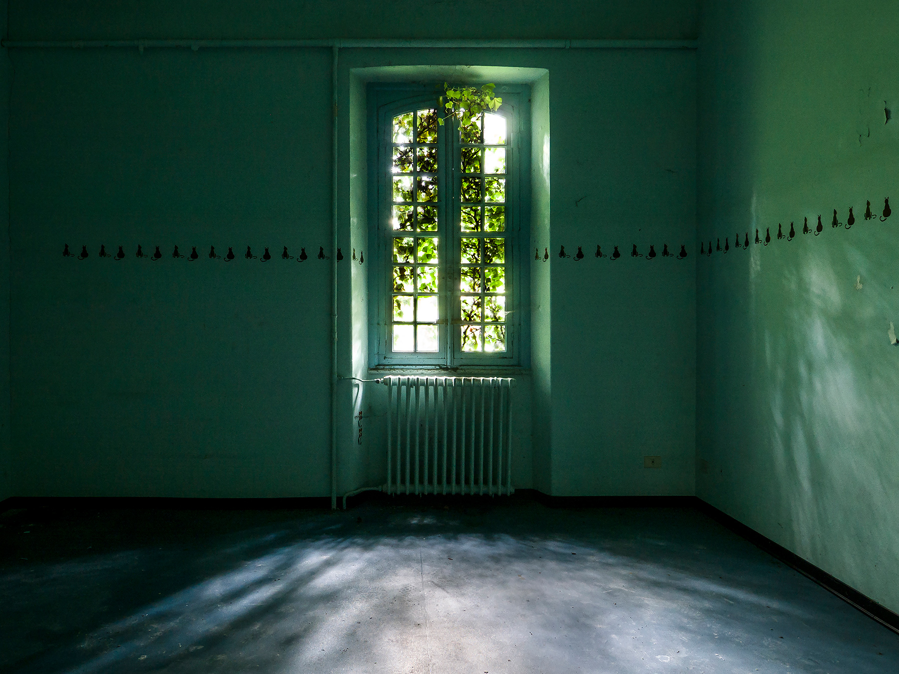 Quarantaquattro Gatti