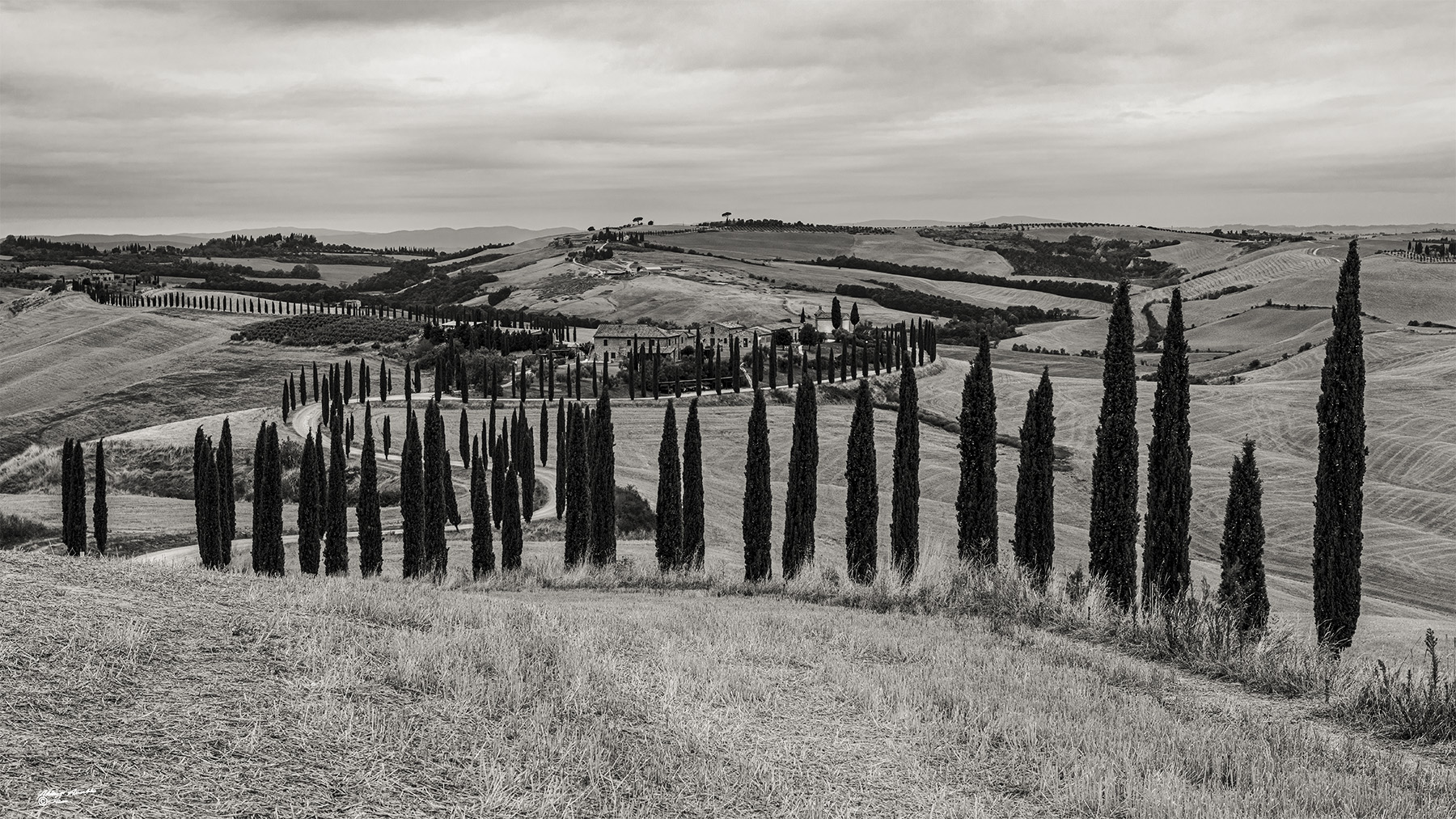 Il lungo percorso cipressato..