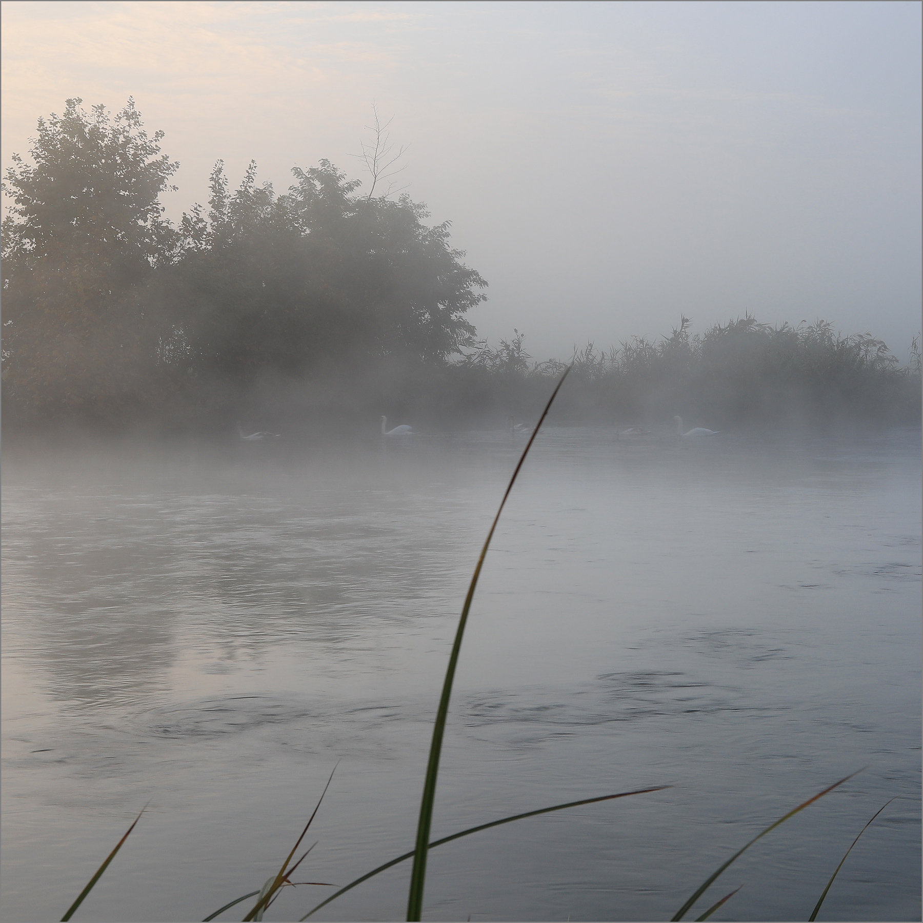 famigliola sul Mincio...