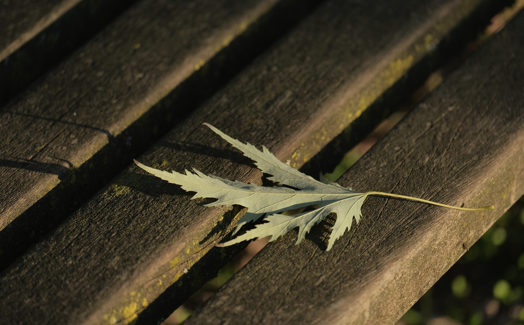 PST (Piccola Storia Triste)