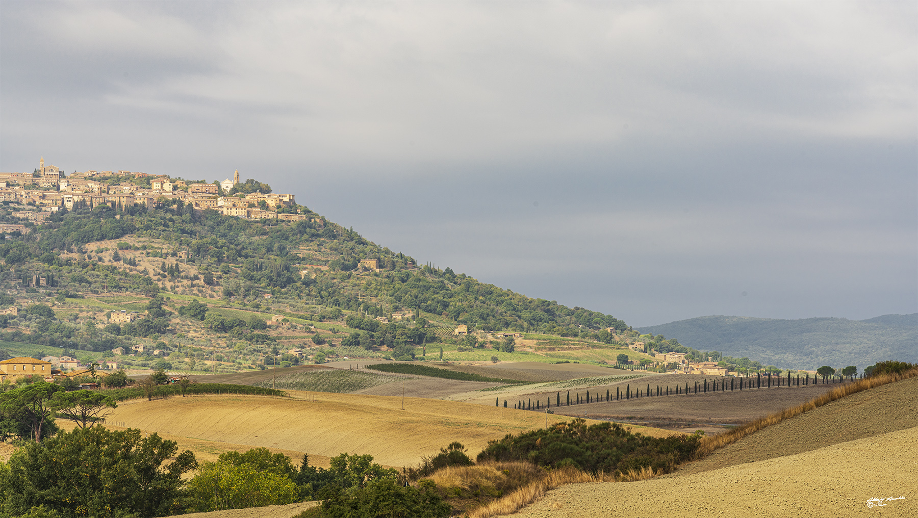 Montalcino e la sua vallata..