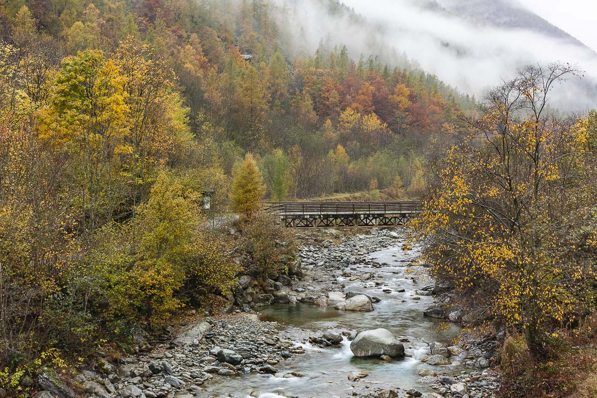 I colori dell'autunno