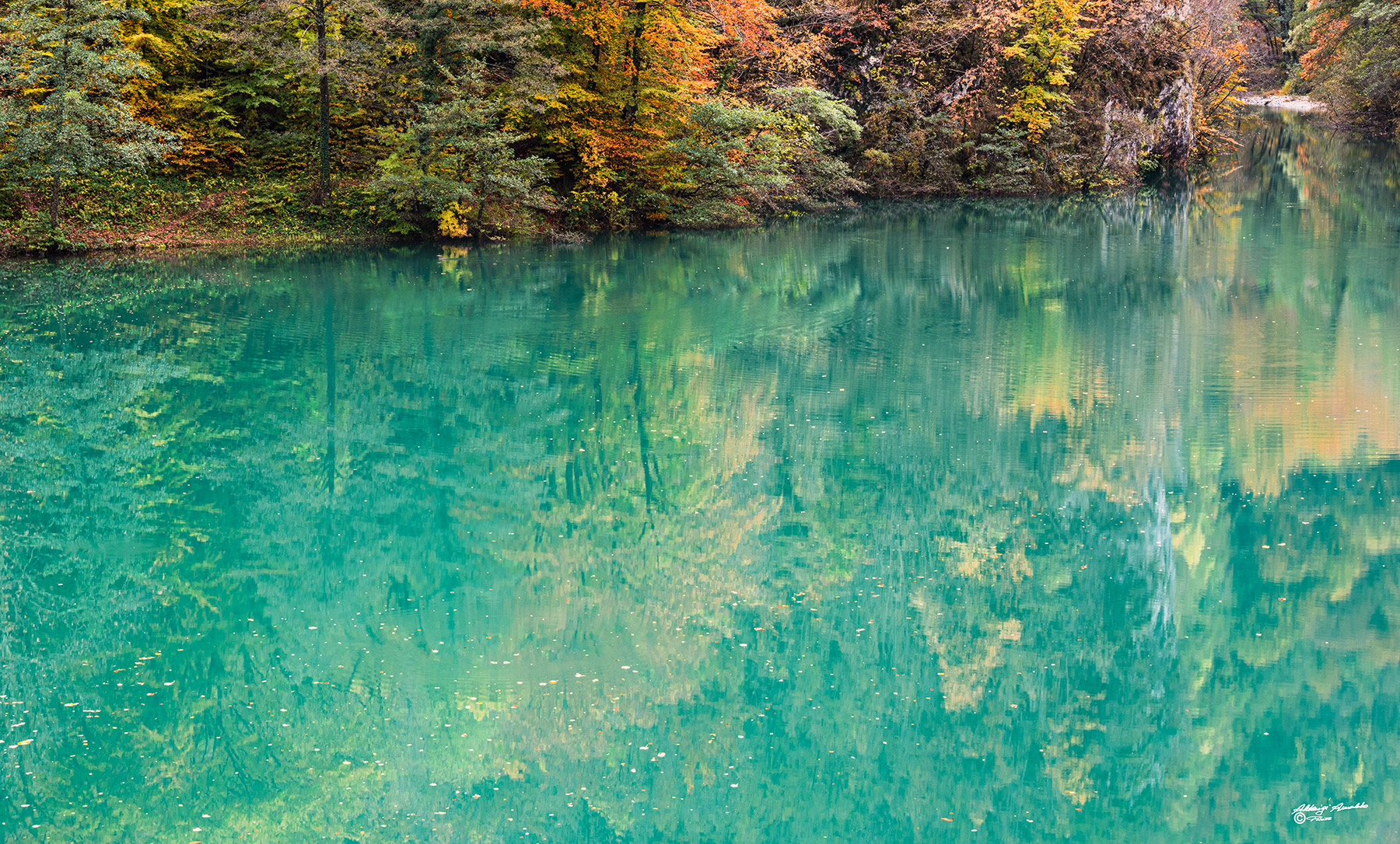 Riflessi.. autunnali.