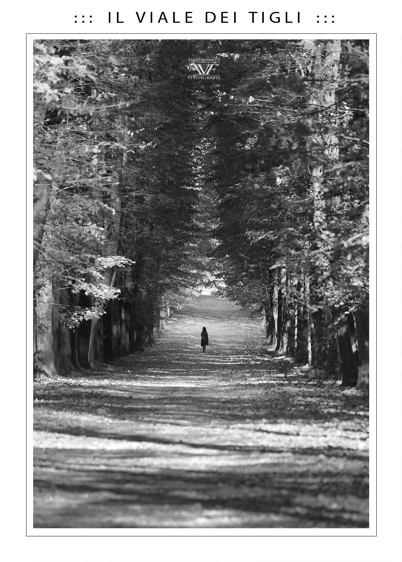 ::: I L V I A L E D E I T I G L I :::