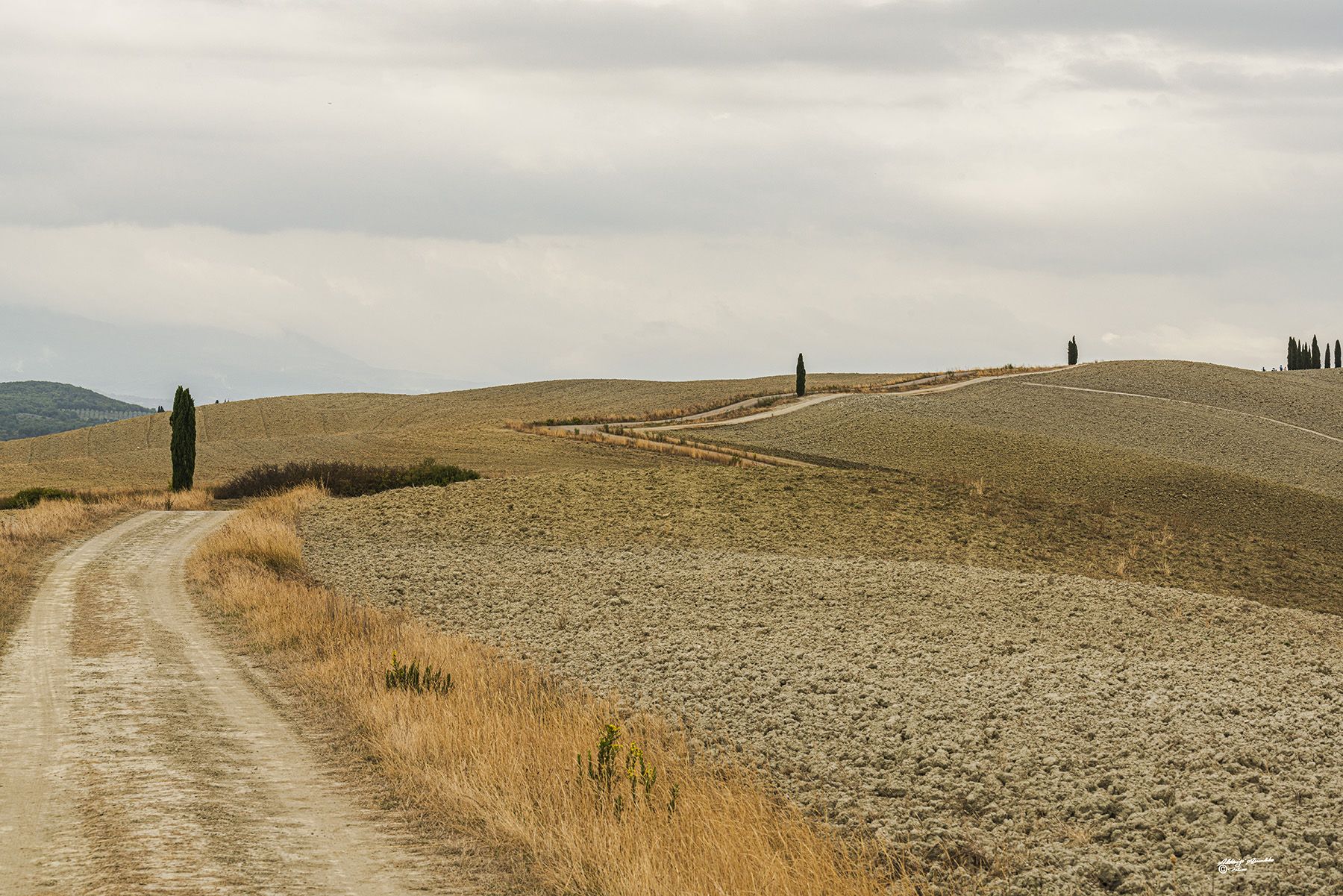 La stradina di campagna..