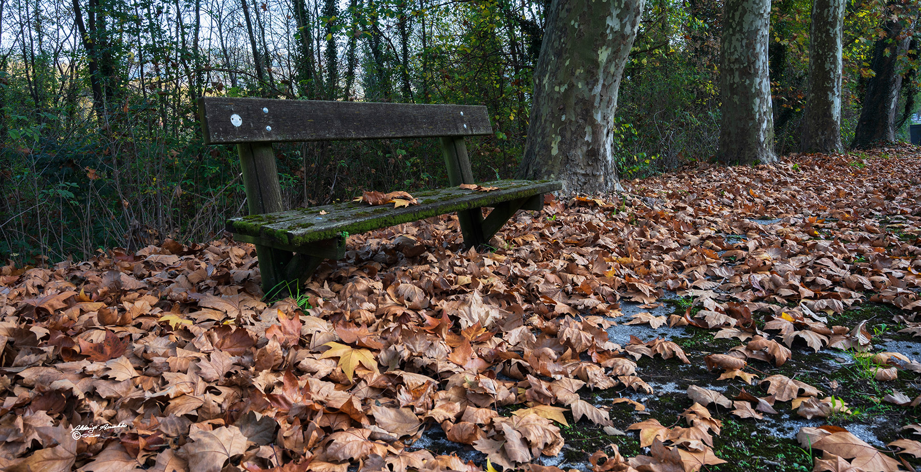 Una stagione che si sta per scorciare..