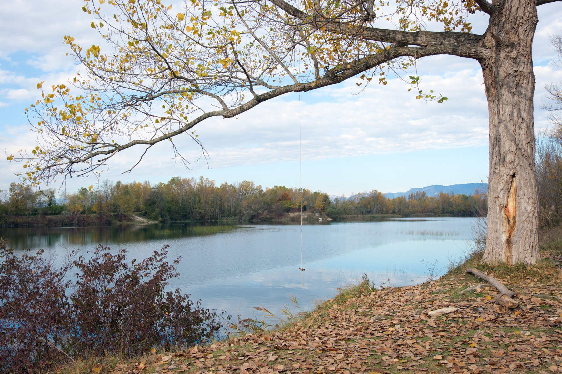 Sere d'estate,dimenticate...