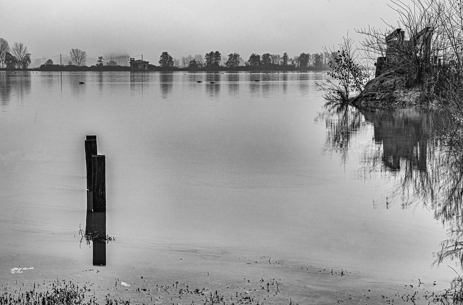 Oasi la Gherardesca.