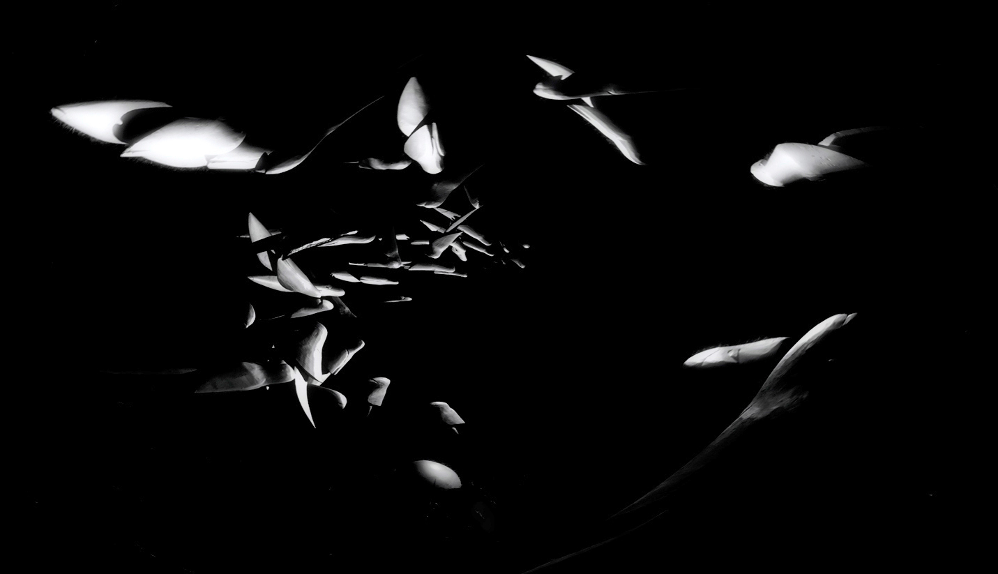 dal vuoto ...al vuoto