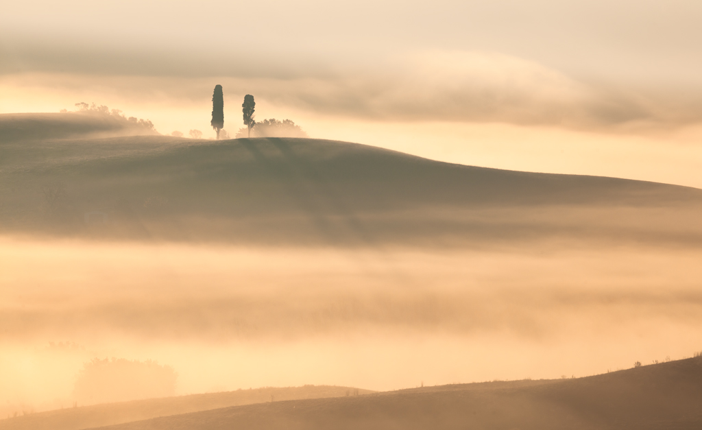 due in mezzo alla nebbia
