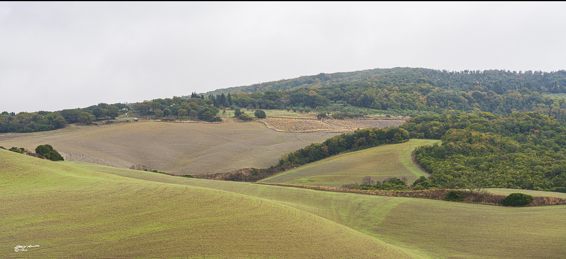 Ondulazioni collinari..