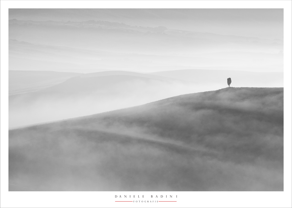 solo in mezzo alla bruma