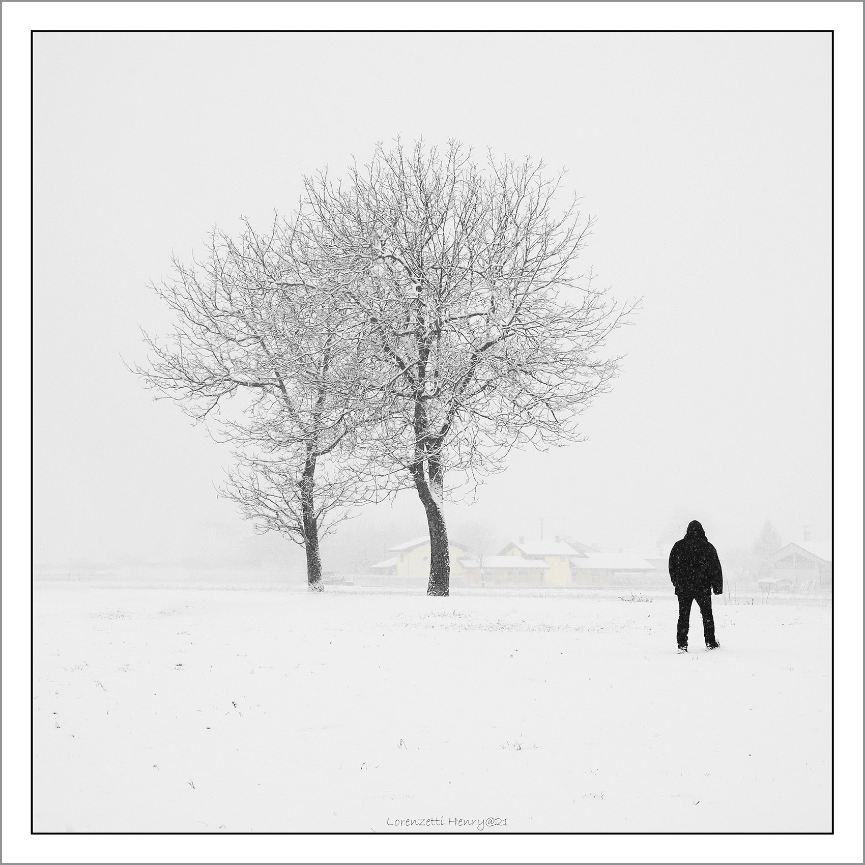 il bianco silenzio...