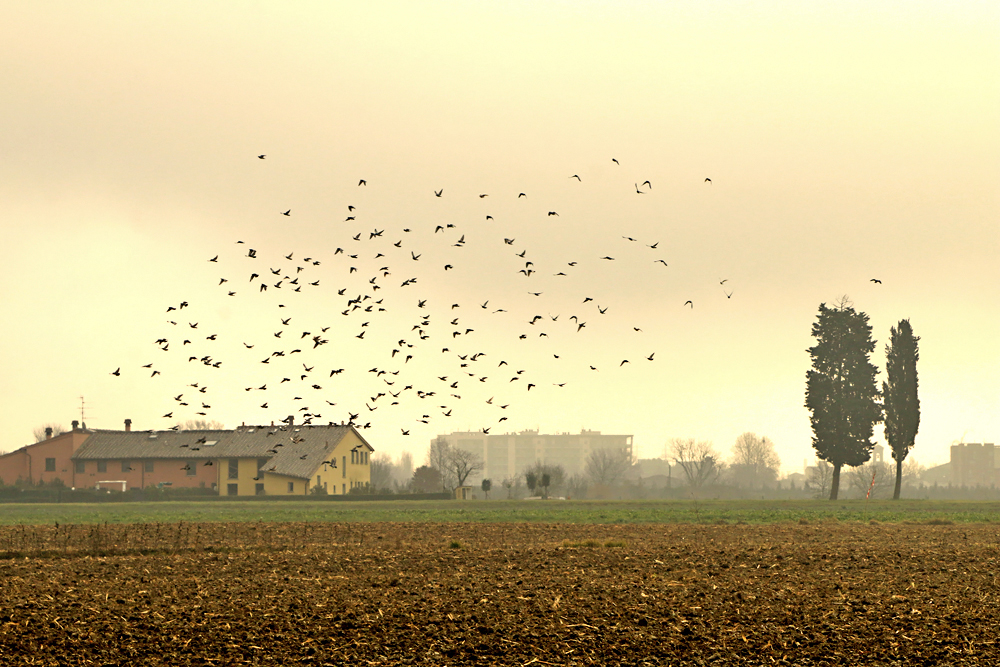 Paesaggio a Mazzone di Prato