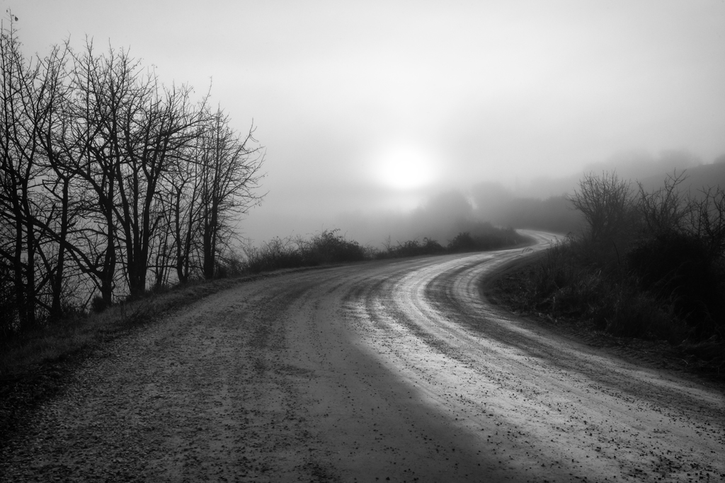 verso il sole annebbiato