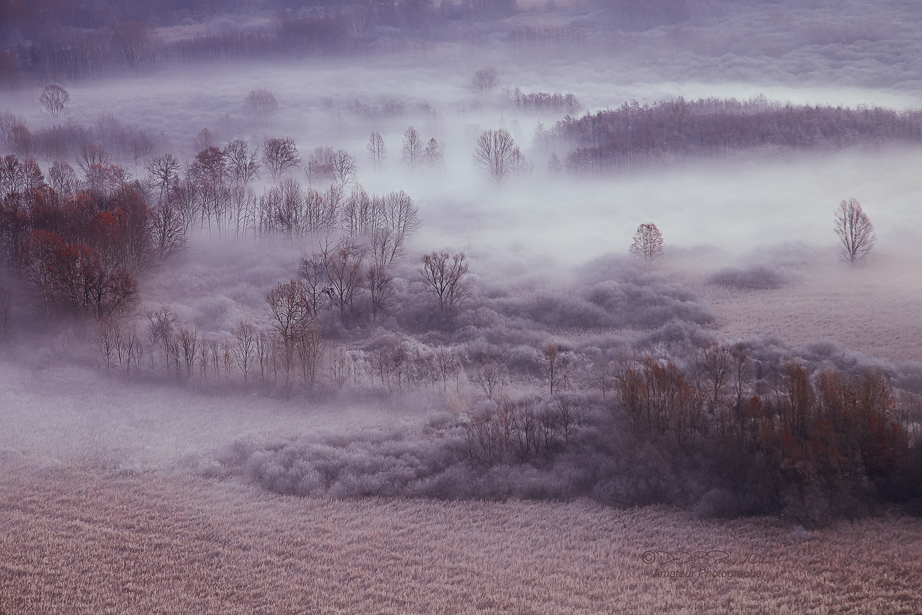 Frost fog and fantasy 2