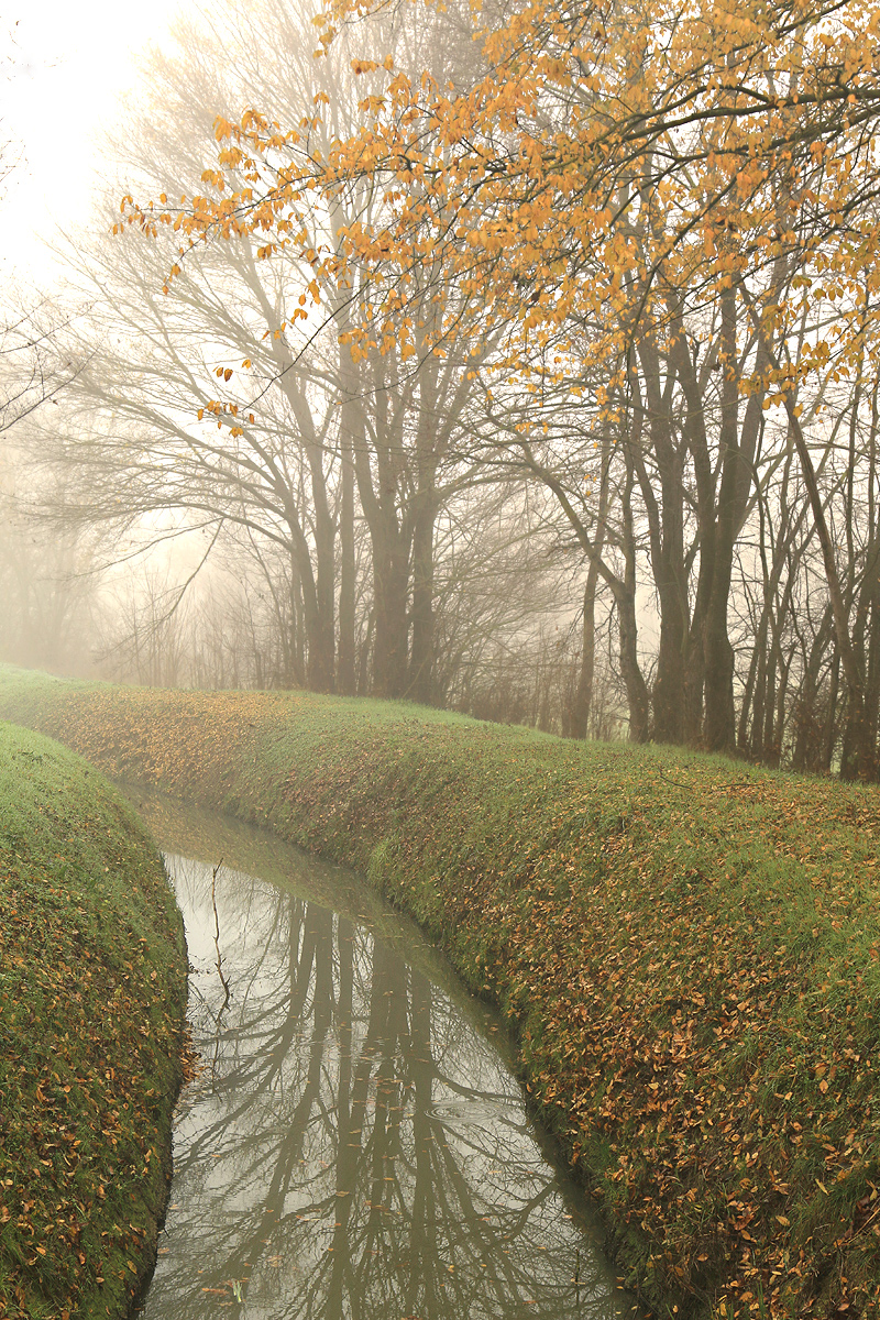 L'autunno di un fosso