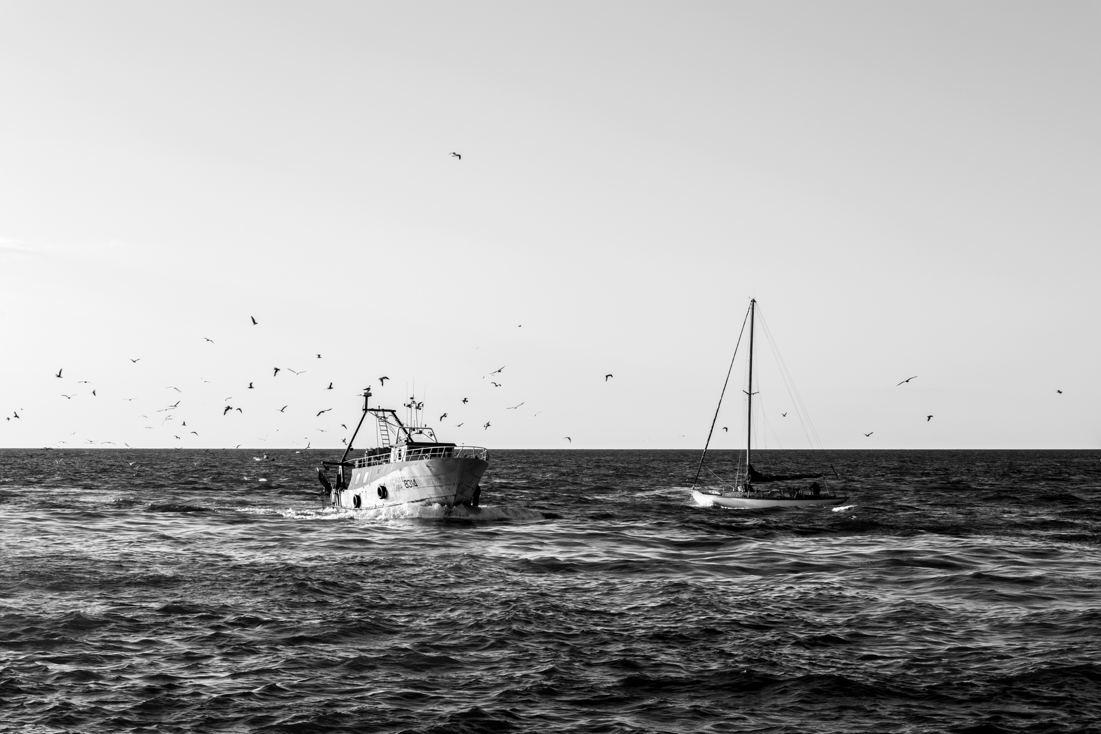 Necessit� e diletto