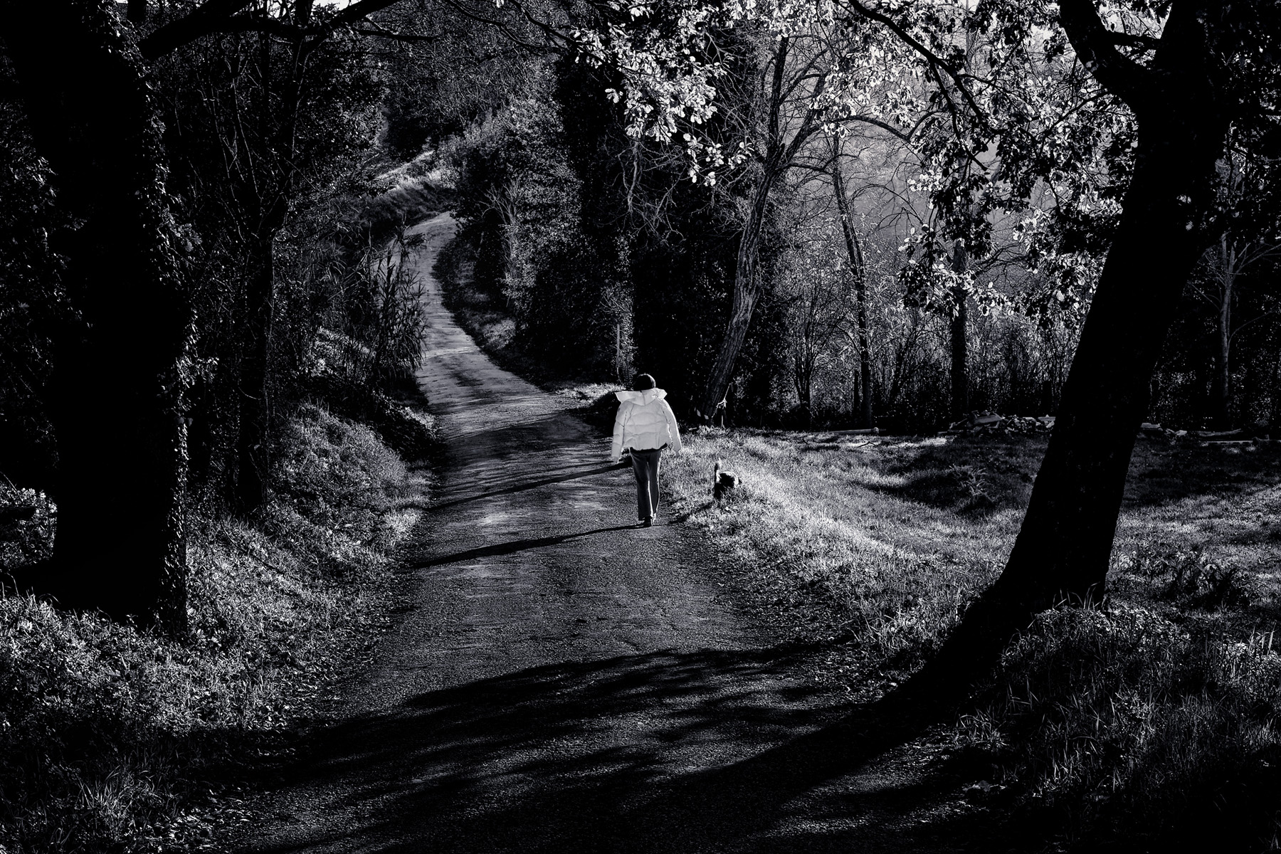 La luce della campagna