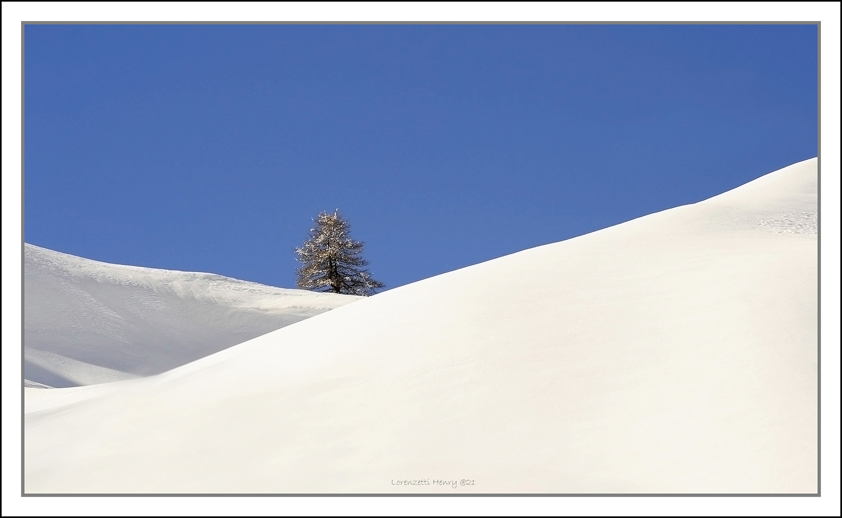 solitario nel freddo bianco...