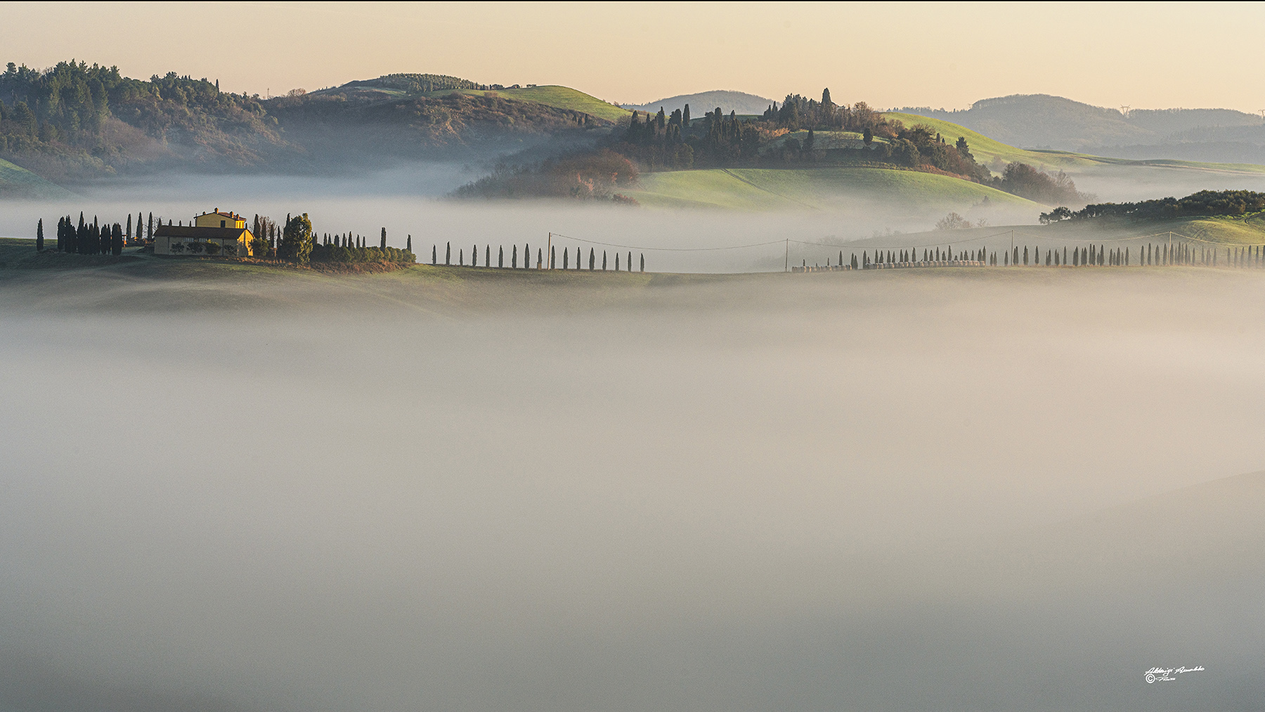 Sentinelle a guardia della nebbia..