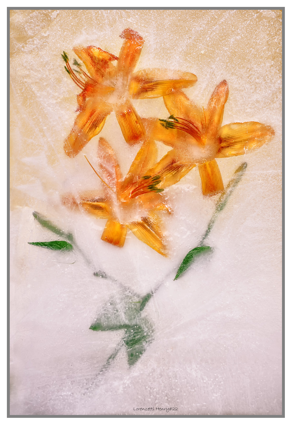 lastra di ghiaccio..