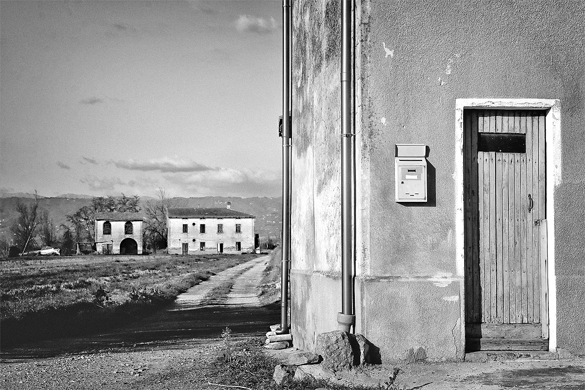 Coloniche verso Massarella Padule Fucecchio
