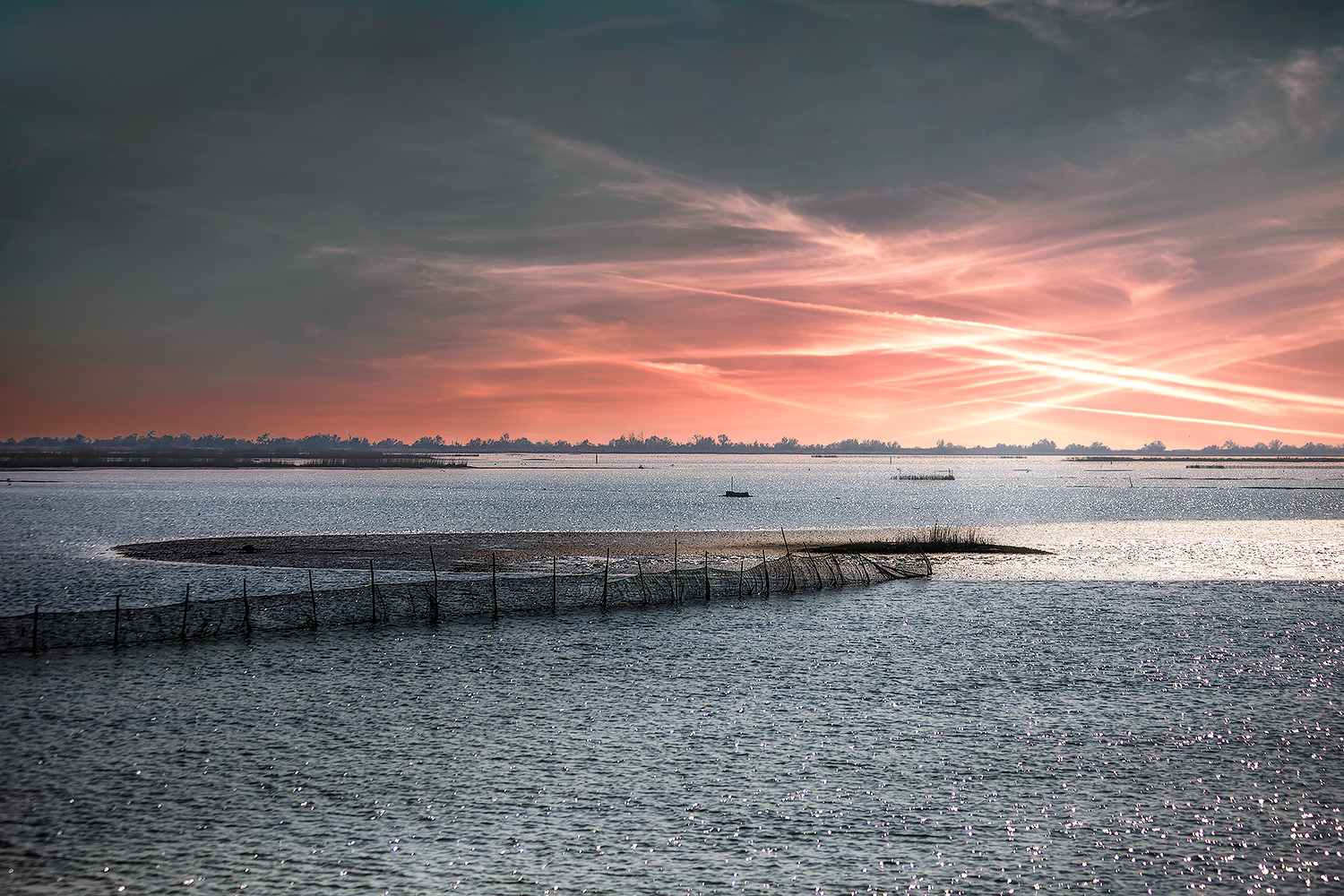 Bocca di Goro (Fe) #4