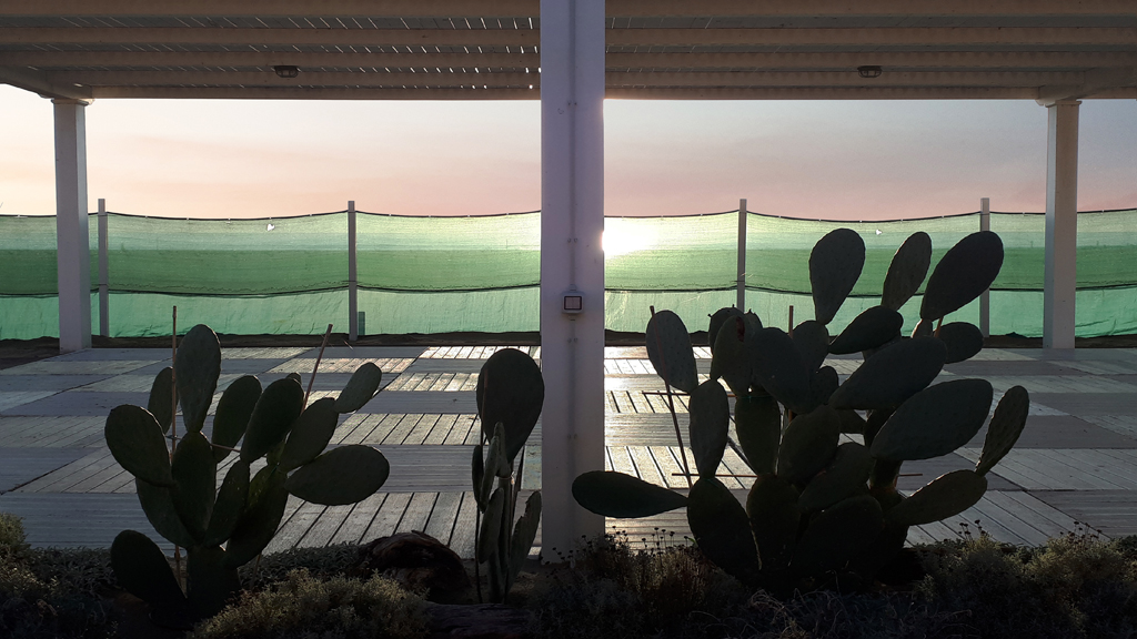 a spasso con il cellulare 4