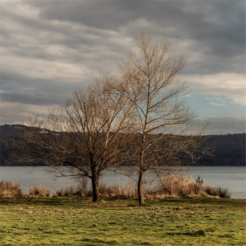 Storie d'inverno